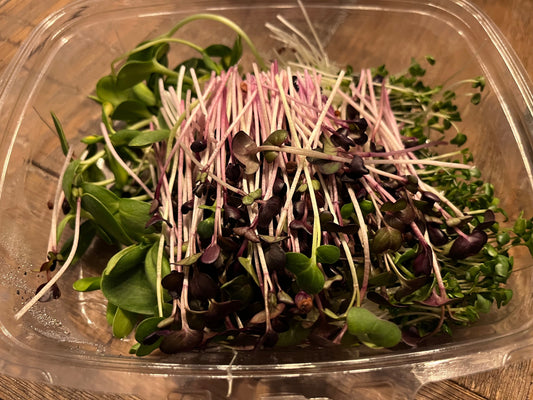 3 oz Spicy Mix Microgreens